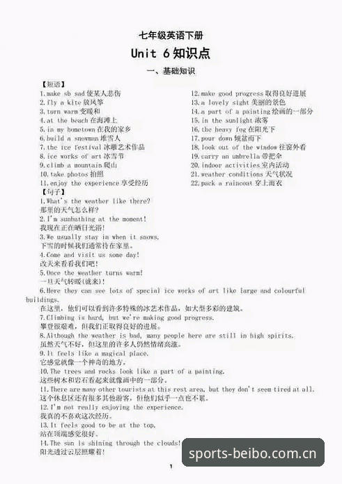 BEIBO平台iOS版实用指南：从下载到流畅运行的必备知识